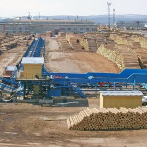 Linii de sortare busteni