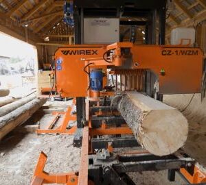 Linii de debitare bustean